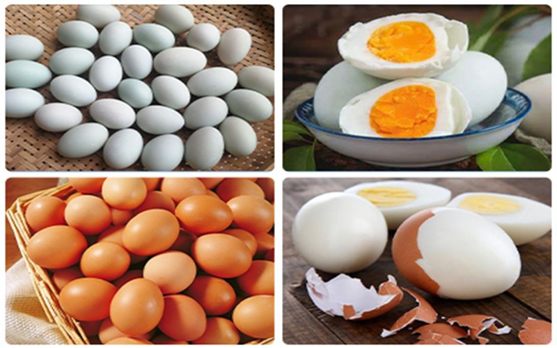 egg making machine egg making machine