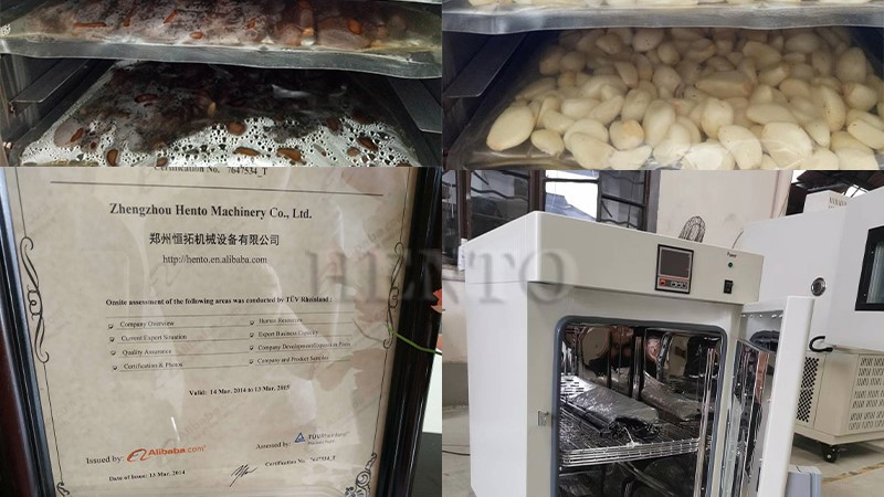 Black Garlic Fermenter Black Garlic Fermenter