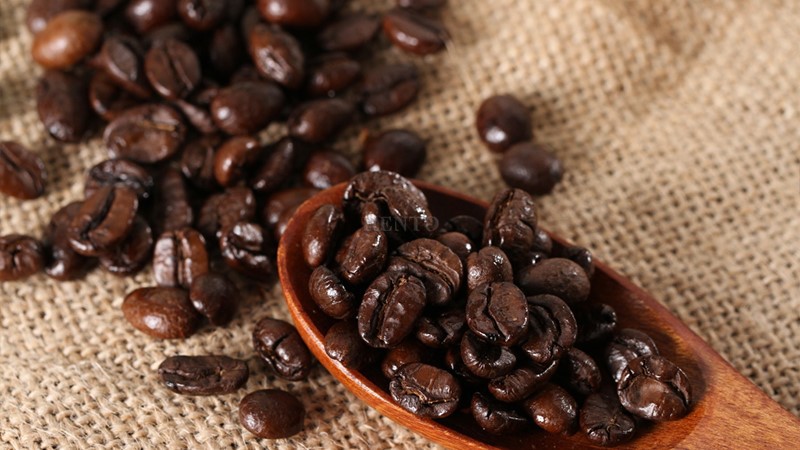 Coffee Bean Color Sorter