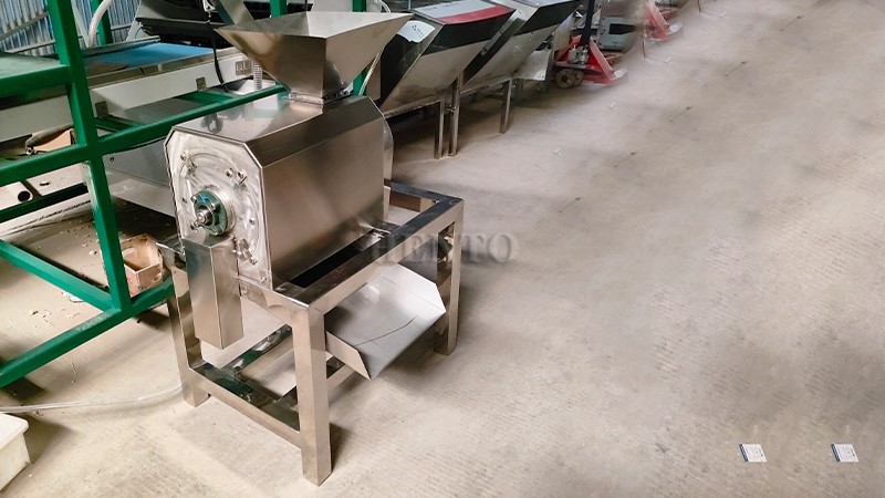 Fruit Pulp Extraction Machine