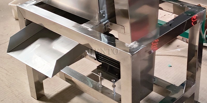 Juice Extrator Pulper