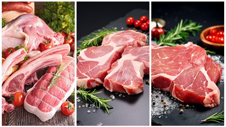 Auto Injector Syringe