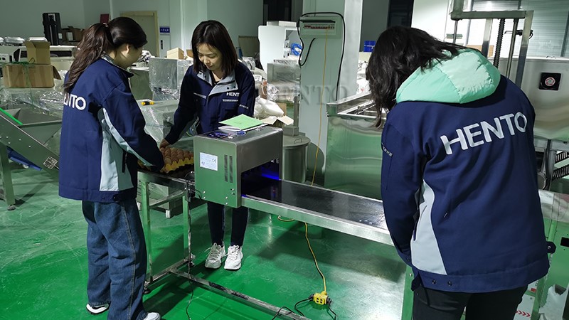 Egg Date Printer Egg Date Printer