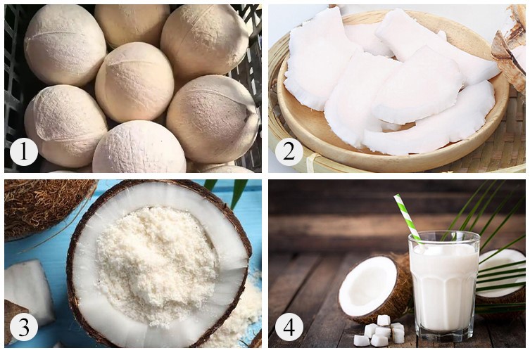 Coconut Milk Extractor Machine