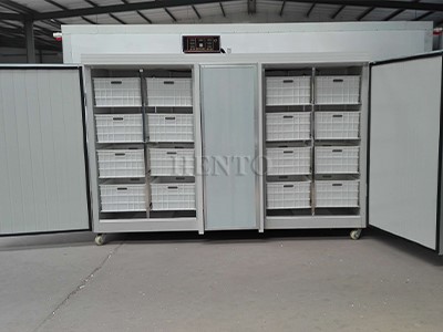 Mung Bean Sprout Machine Mung Bean Sprout Machine