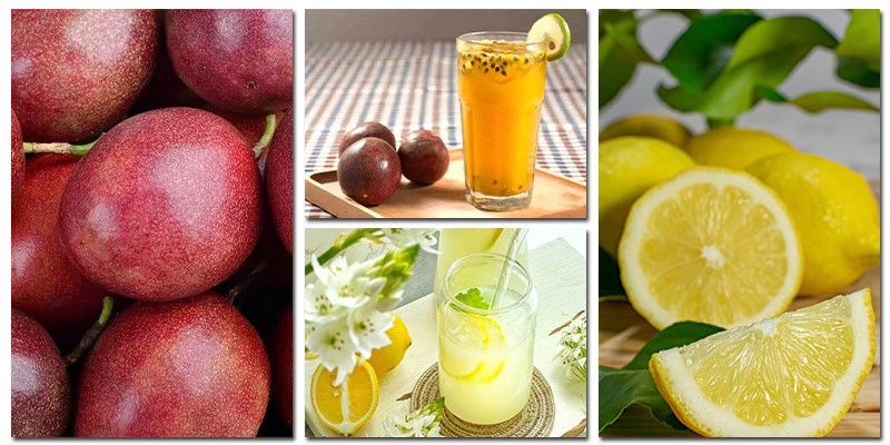 Lemon Juice Squeezer Lemon Juice Squeezer