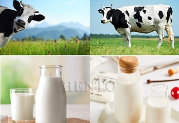 Soya Milking Machine Soya Milking Machine