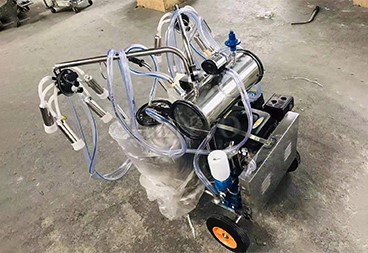 Goat Milking Machine