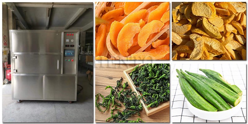 Vacuum Microwave Food Dryer Vacuum Microwave Food Dryer