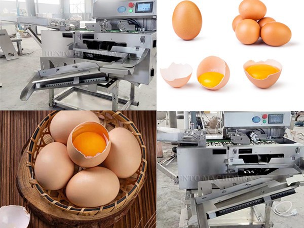 Egg Yolk Separator Egg Yolk Separator