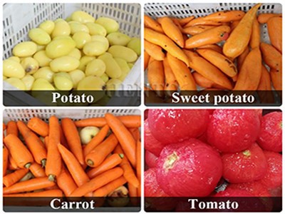 Potato Peeler Machine Potato Peeler Machine