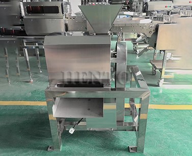 Mango Pulper Mango Pulper