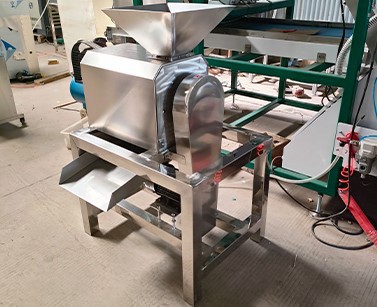 Lemon Pulper Machine Lemon Pulper Machine