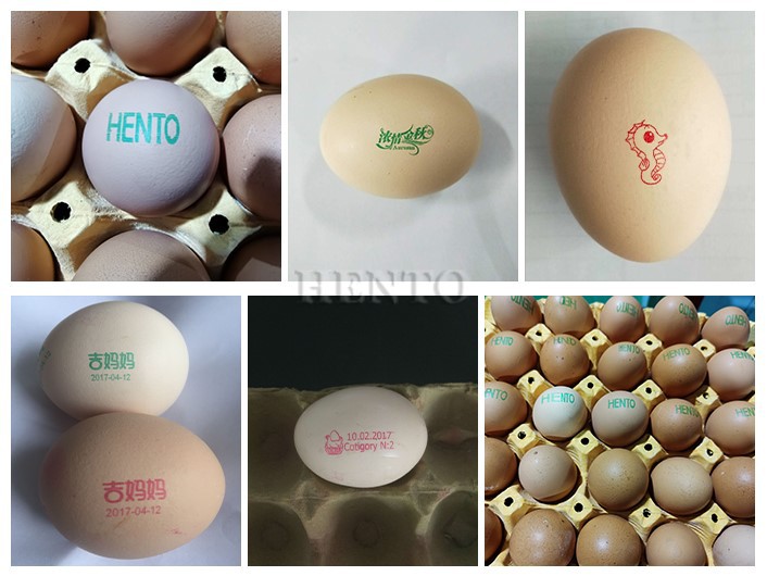 Egg Code Printer