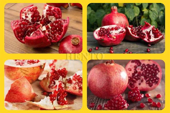 Pomegranate Seed Separation Machine Pomegranate Seed Separation Machine