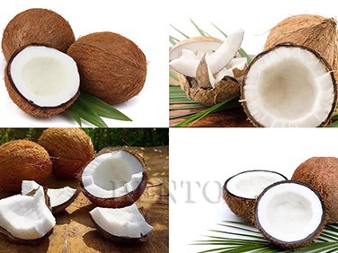 Coconut Cutting Machine Automatic