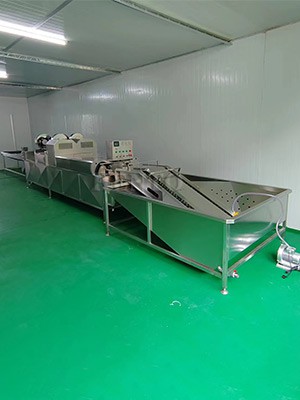 Quail Egg Washing Machine