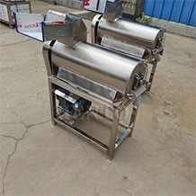 Pomegranate Seed Separation Machine