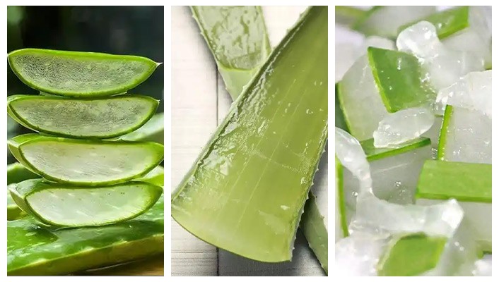 Aloe Vera Machine Aloe Vera Machine