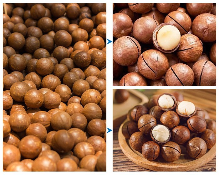 Macadamia Nut Shell Cracker Machine Macadamia Nut Shell Cracker Machine