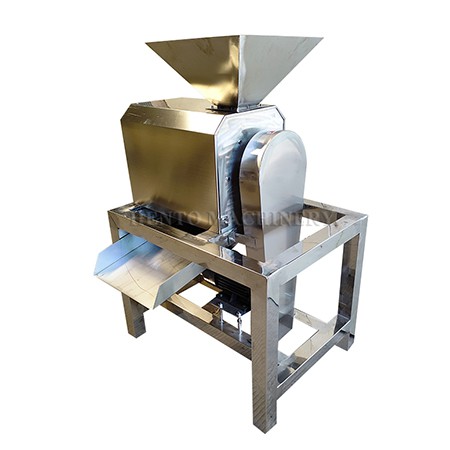 Fruit Pulp Extractor Machine