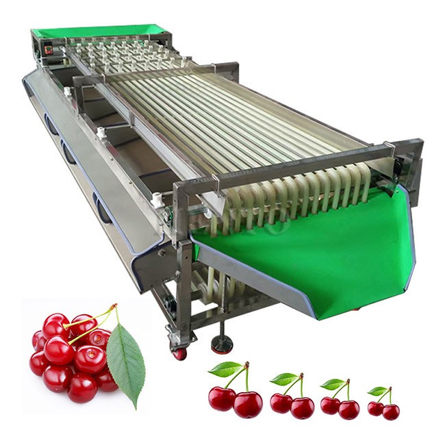 Potato Sorting Machine
