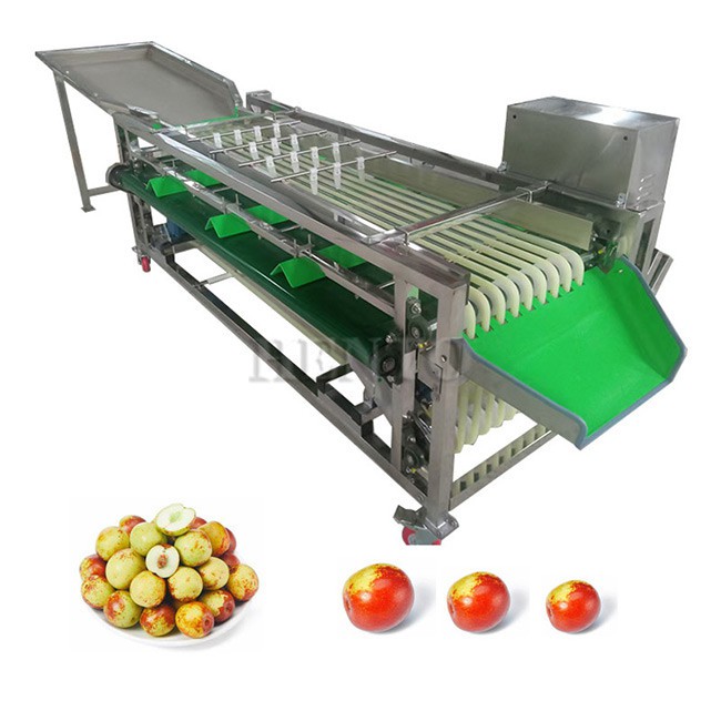 Potato Sorting Machine