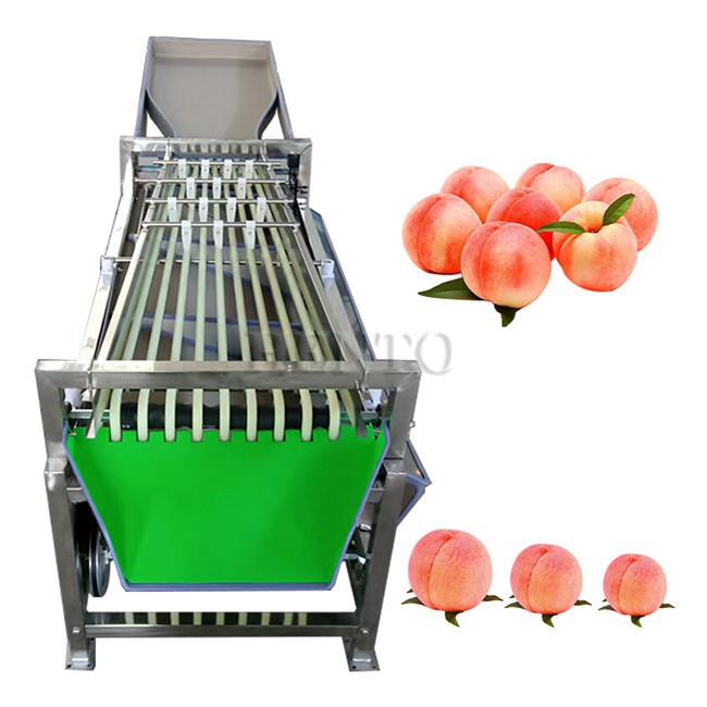 Potato Sorting Machine