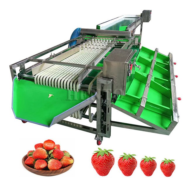 Potato Sorting Machine