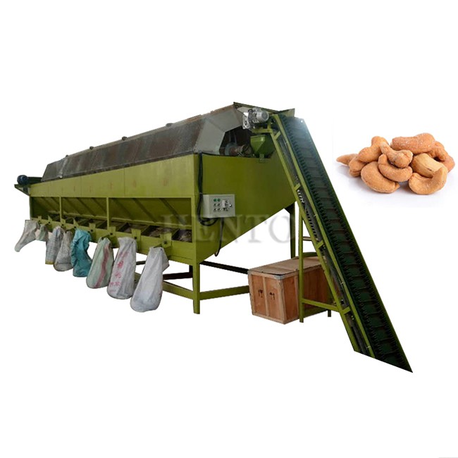 Raw Cashew Grader