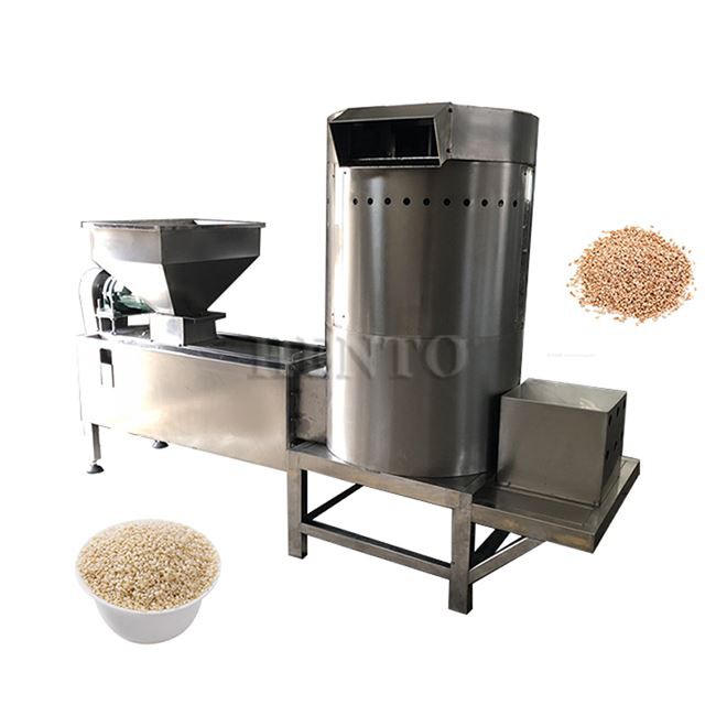 Sesame Seeds Washing Drying Machine suppliers