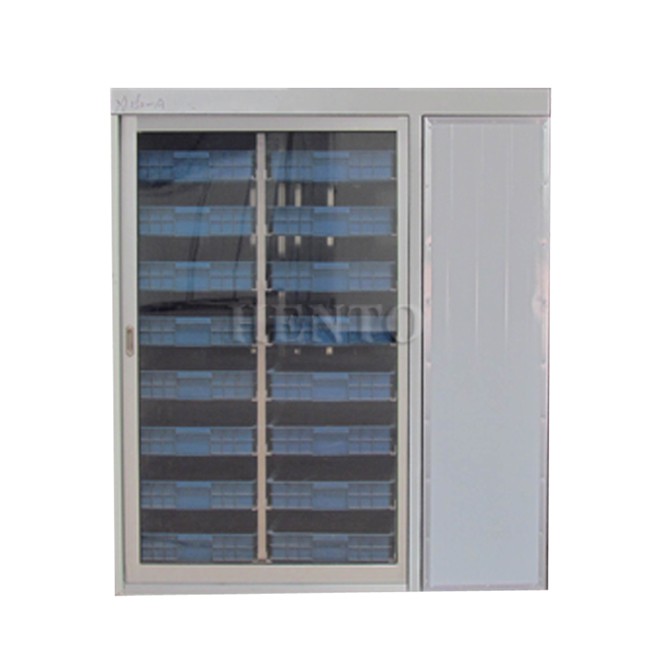 Day Bean Sprout Growing Machine