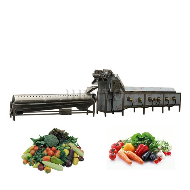 Potato Blanching Machine Price