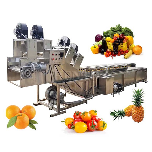 Fruit Washing And Drying Machine