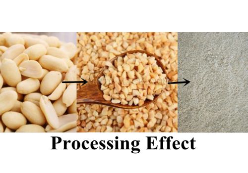 info-500-350 info-500-350