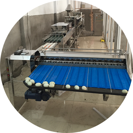 news-548-548 news-548-548